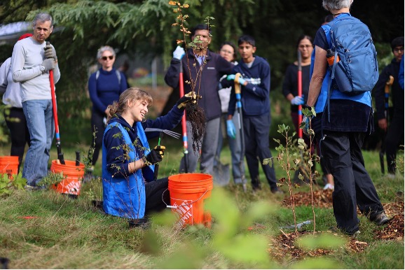 A group of people working in a field, planting and removing invasive plants.