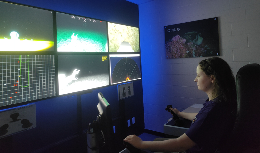 Ellen Leier working at a six-screen panel.