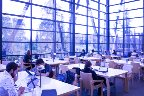 Students in a library, all working on laptops.